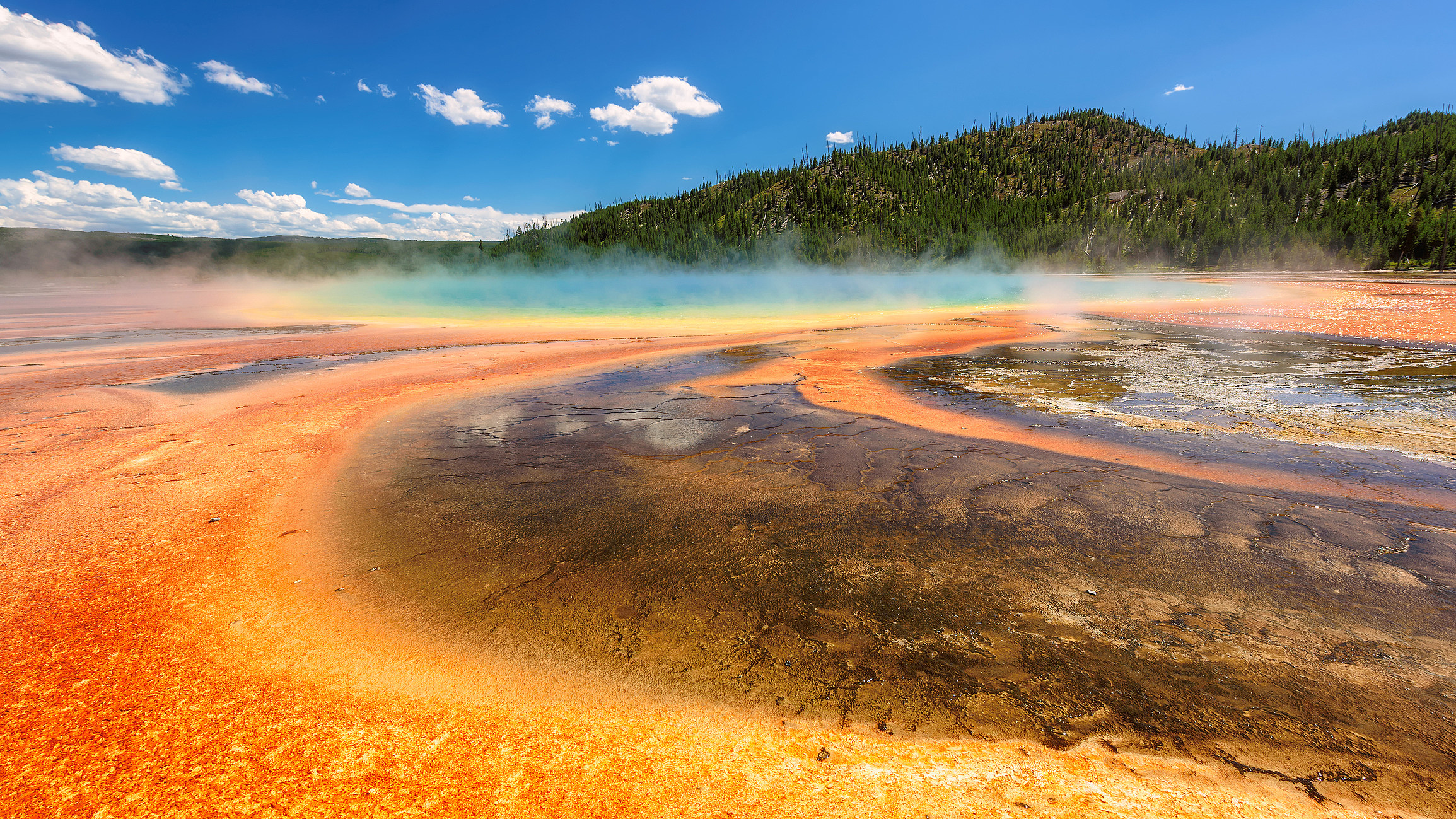 Thermal pool Grand Prismatic Spring in Yellowstone