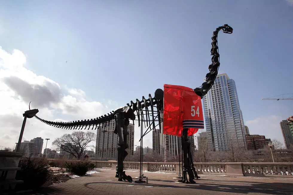 Chicago Museums Waive Admission Fee on These Days This Summer