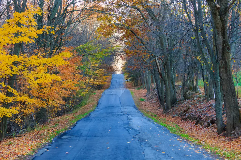 Wisconsin Releases Best Fall Foliage Scenic Roads Travel Guide