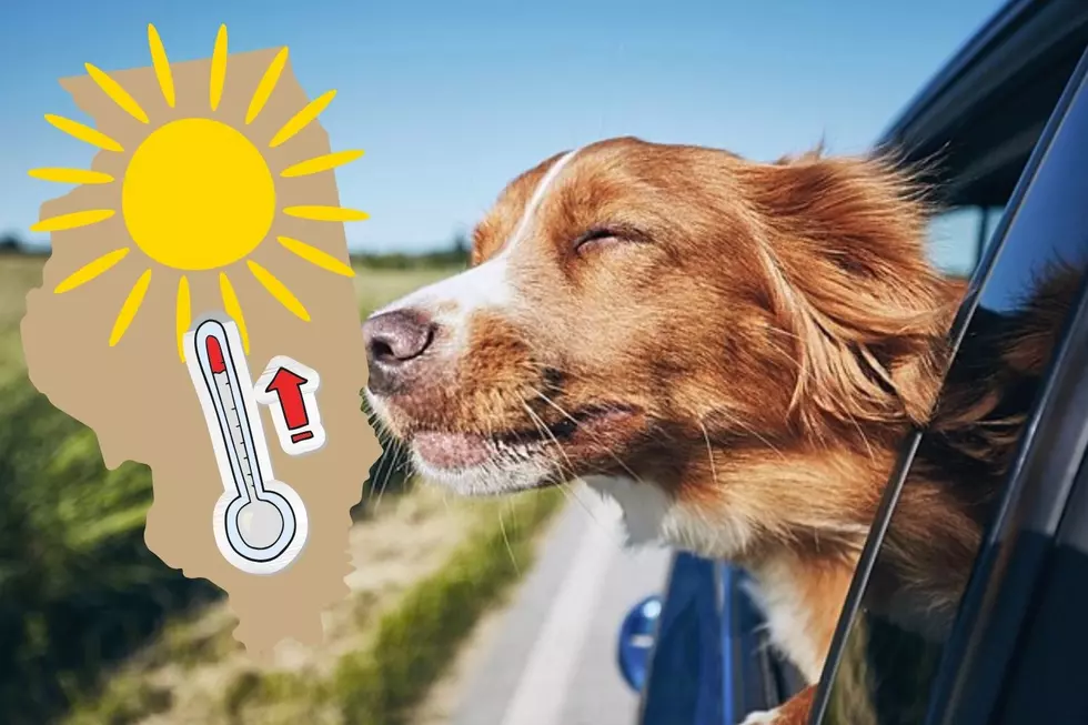 Just How Unseasonably Warm Will it Get This Week in Illinois?