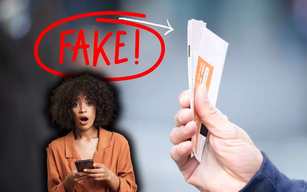 BEWARE: Fake Ticket Scam Targeting Illinois Festival-Goers
