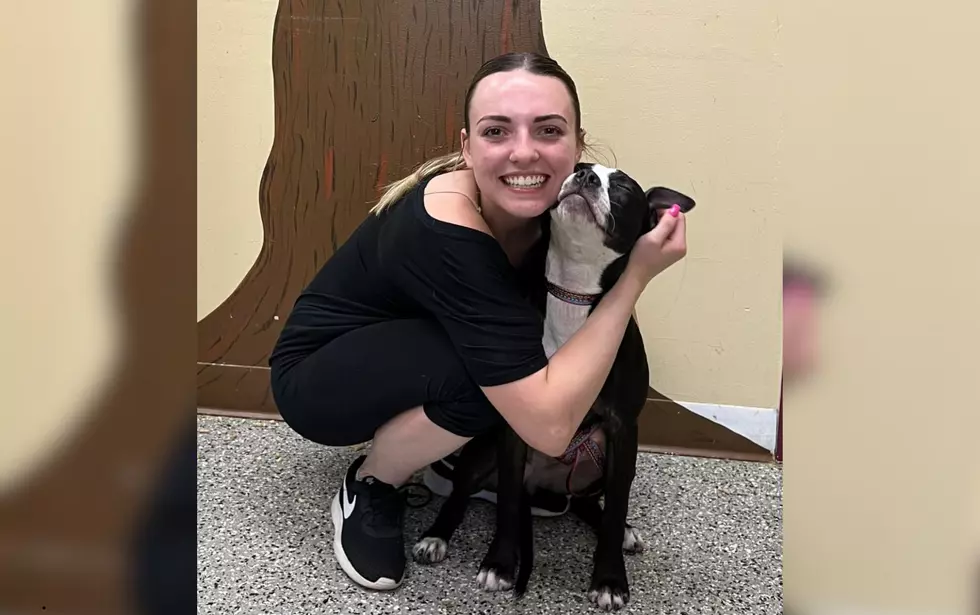‘Most Smiley Dog’ Finds Furever Home After 94 Days at Rockford Shelter