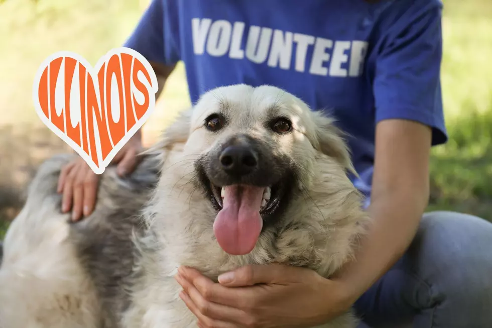 Animal Lovers! Here’s A “Pawesome” Way To Volunteer In Rockford