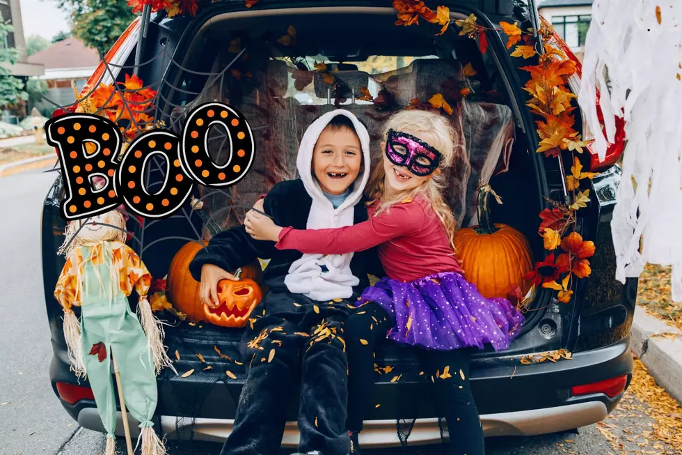 Trunk Or Treat, Animal Tours, & More At Durand’s Hoo Haven