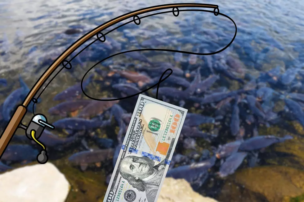 Illinois Launches Black Carp Bounty—$100 Per Fish